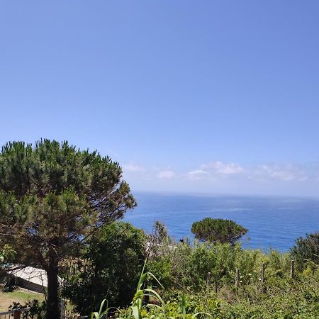 Appartement Casa De Somma à Forio di Ischia Extérieur photo